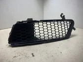 Front bumper lower grill