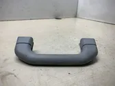 Front interior roof grab handle