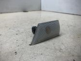 Front fender indicator light