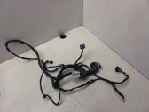 Front door wiring loom