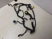 Front door wiring loom