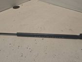 Front bonnet/hood damper/strut