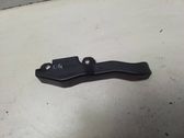 Engine bonnet/hood lock trim molding