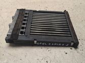 Electric cabin heater radiator