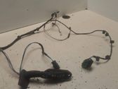 Rear door wiring loom