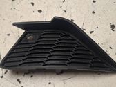 Front fog light trim/grill