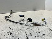 Tailgate/trunk wiring harness