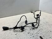 Other wiring loom