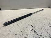 Tailgate strut