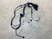 Front door wiring loom