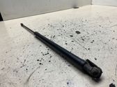 Tailgate/trunk strut/damper