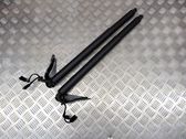 Tailgate strut