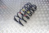 Rear coil spring