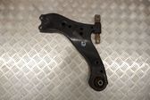 Front lower control arm/wishbone