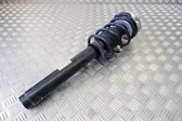 Front shock absorber/damper