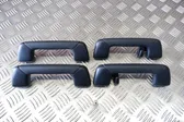 A set of handles for the ceiling