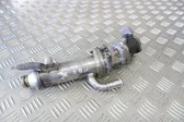 EGR valve