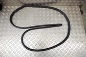 Rear door rubber seal (on body)