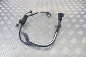 Rear ABS sensor wiring