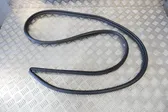 Front door rubber seal