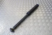 Rear shock absorber/damper