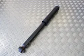 Rear shock absorber/damper