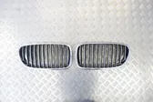 Front bumper upper radiator grill