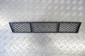 Front bumper lower grill