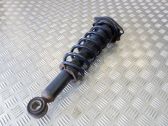 Rear shock absorber/damper