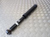 Stoßdämpfer hinten