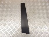 Front door trim (molding)