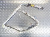 Roof airbag