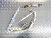 Roof airbag