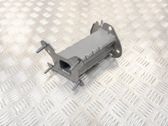Rear bumper shock impact absorber/damper