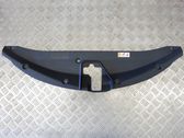 Radiator trim