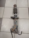 Front shock absorber/damper