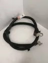 Positive cable (battery)