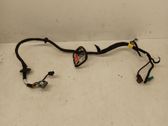 Other wiring loom