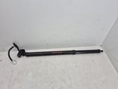 Tailgate/trunk strut/damper