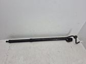 Tailgate/trunk strut/damper