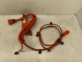 Other wiring loom