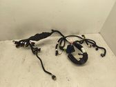 Other wiring loom