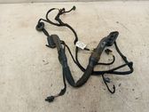 Rear door wiring loom
