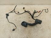 Front door wiring loom
