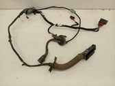 Rear door wiring loom
