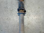 Stoßdämpfer hinten