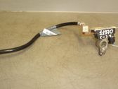 Other wiring loom
