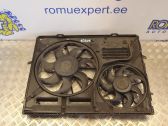Electric radiator cooling fan