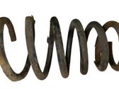 Rear coil spring
