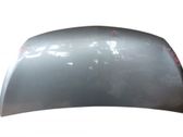 Engine bonnet/hood